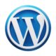 WORDPRESS EXPERT-webvisionspro